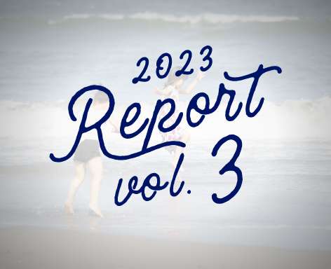 2023 Report vol.3